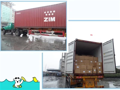 Yoniner Berangkat Lagi, Mengumpulkan Momentum Dan Maju